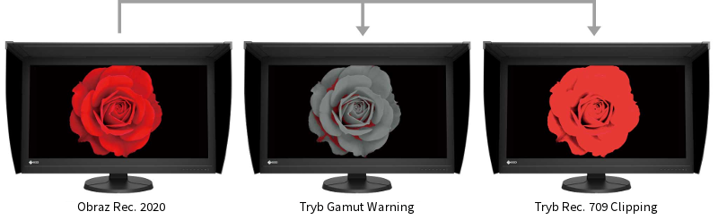 Eizo - fotopoker.pl Eizo - fotopoker.pl